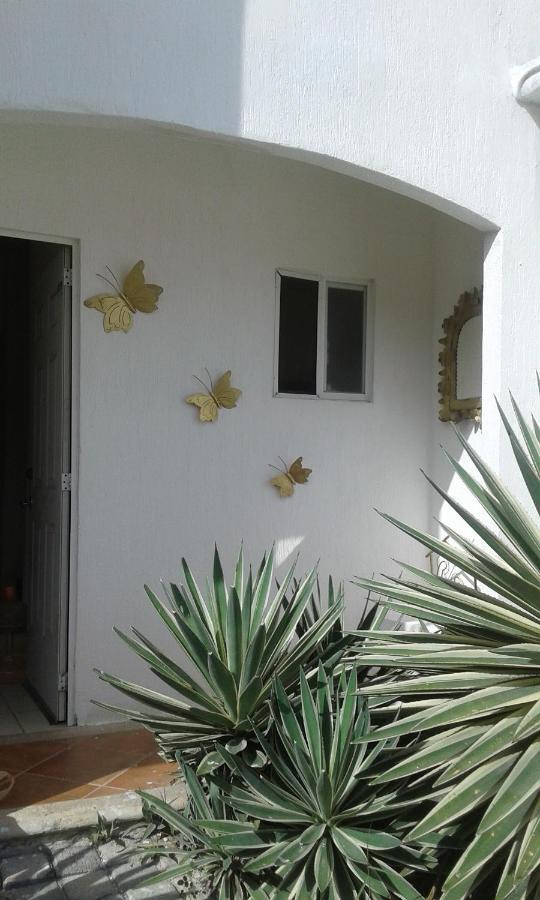 Homestay Casa Mariposas *
